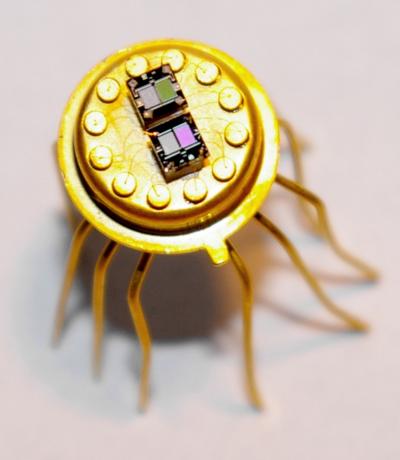 metal oxide sensors for fresh pineapple